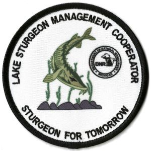 Lake Sturgeon Management Patch Michigan DNR
